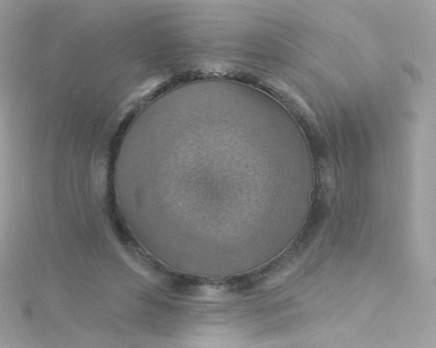 X0000115610496200911241619