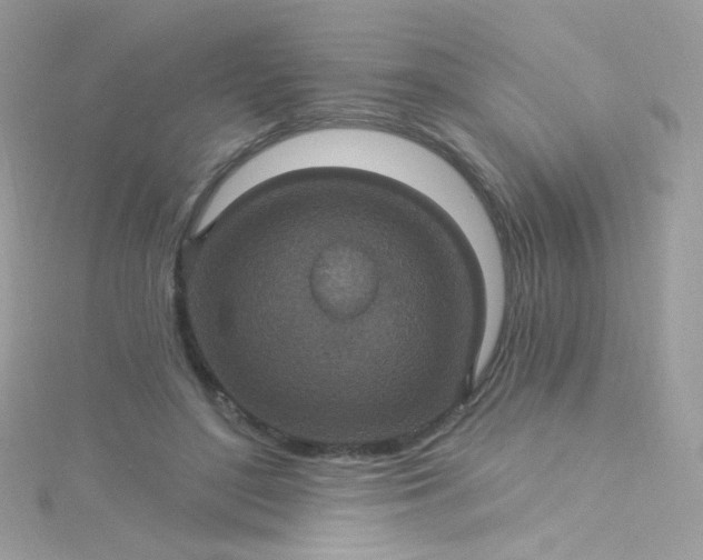 X0000115610500200911241619