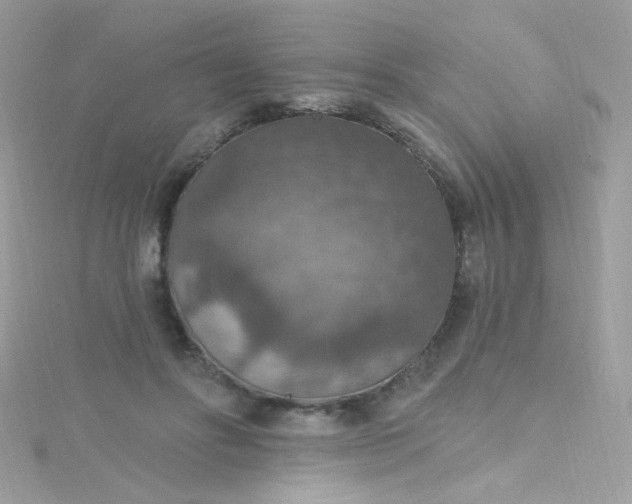 X0000115610502200911241619