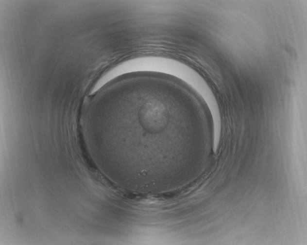 X0000115610504200911241619