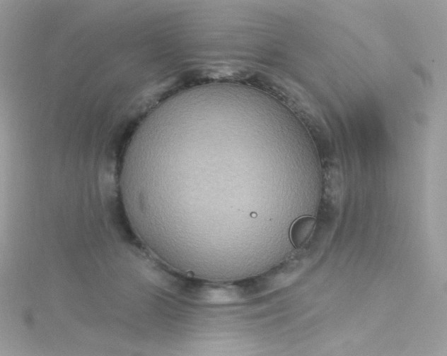 X0000115610510200911241619