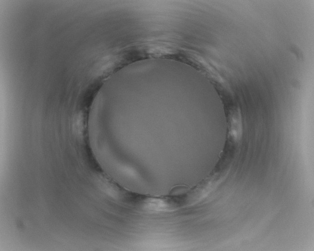 X0000115610519200911241619