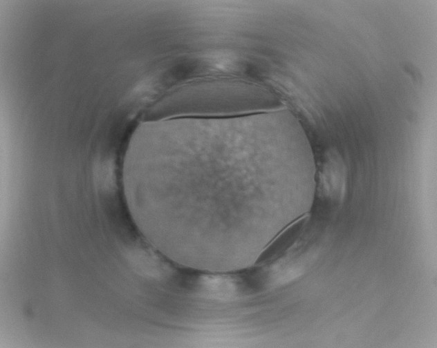 X0000115610520200911241619