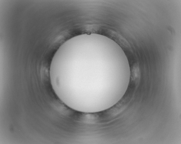 X0000115610522200911241619