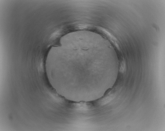 X0000115610524200911241619