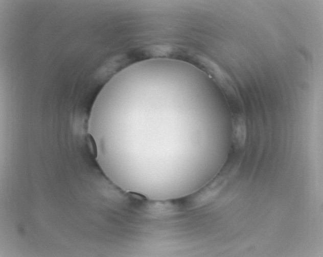 X0000115610525200911241619