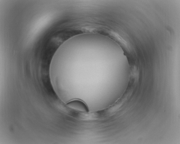 X0000115610526200911241619