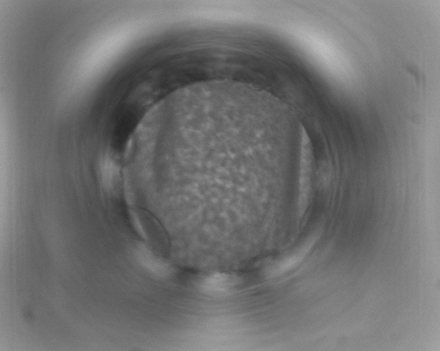 X0000115610527200911241619