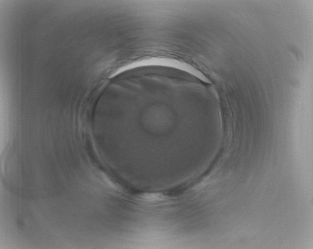 X0000115610528200911241619