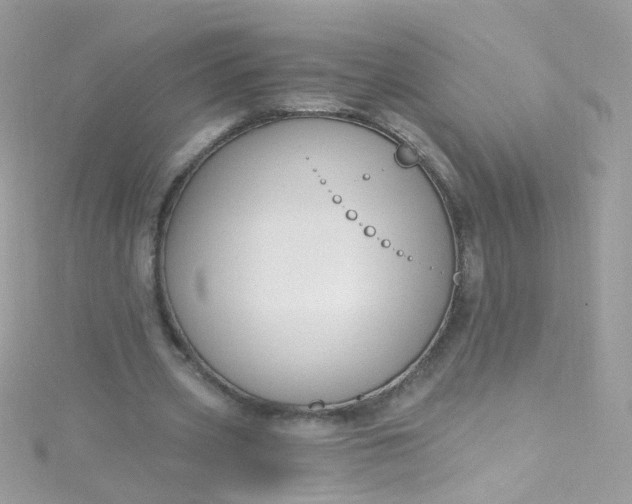 X0000115610533200911241618