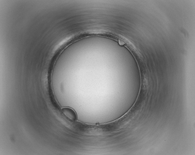 X0000115610535200911241618