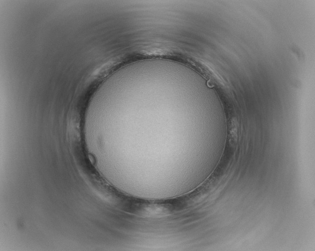 X0000115610547200911241618