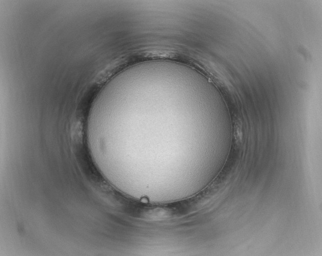 X0000115610551200911241619