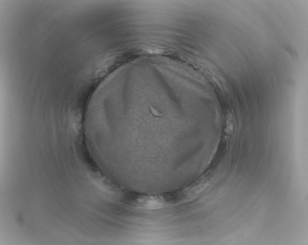 X0000115610559200911241619