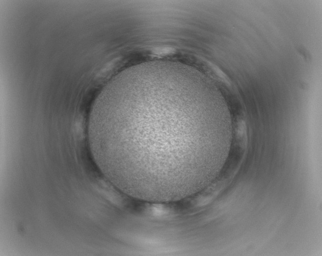 X0000115610565200911241619