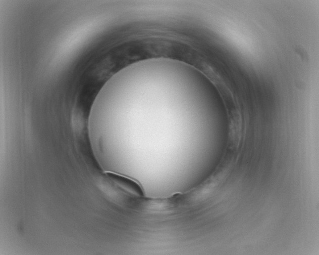X0000115610574200911241619