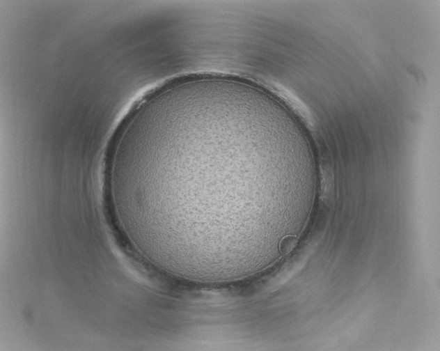 X0000115610580200911241618