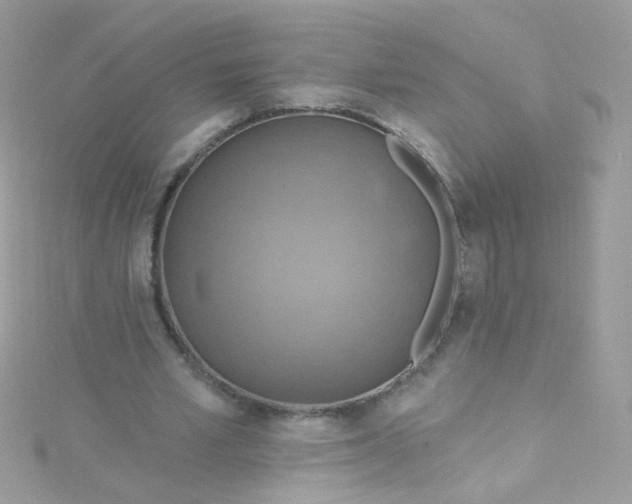 X0000115610581200911241618