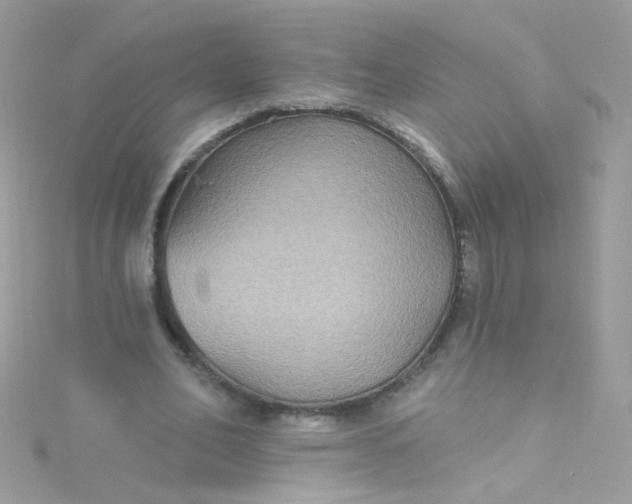 X0000115610582200911241618