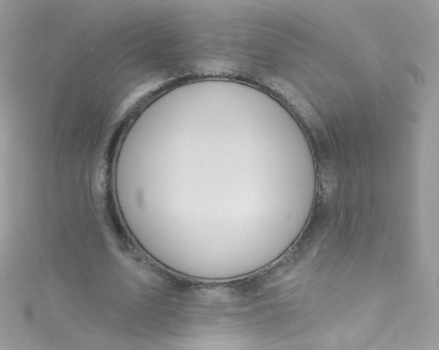 X0000115610583200911241618