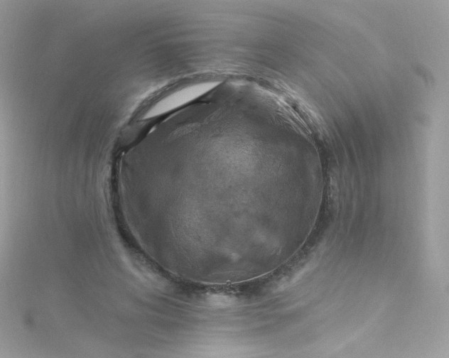 X0000115610592200911241618