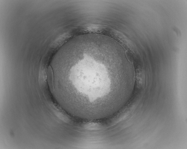 X0000115610593200911241618