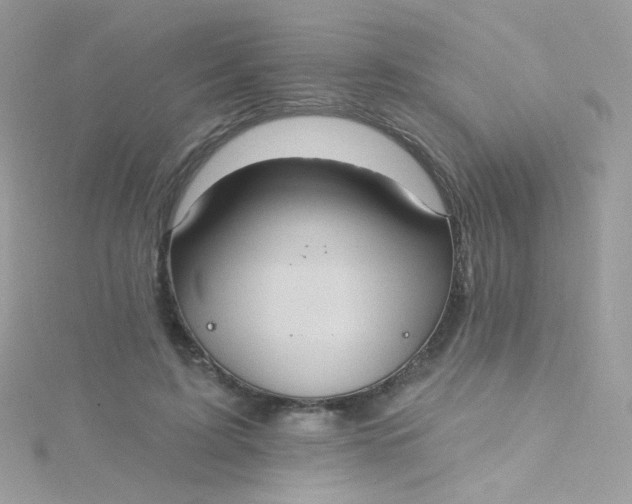 X0000115610595200911241618