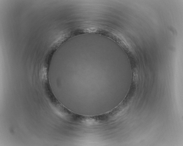X0000115610598200911241618