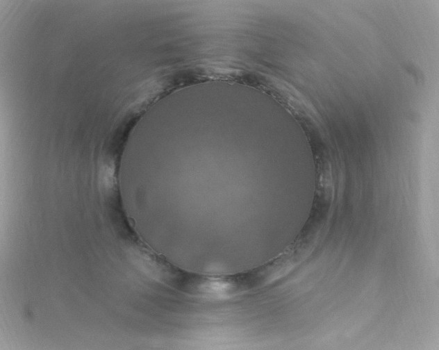 X0000115610610200911241618