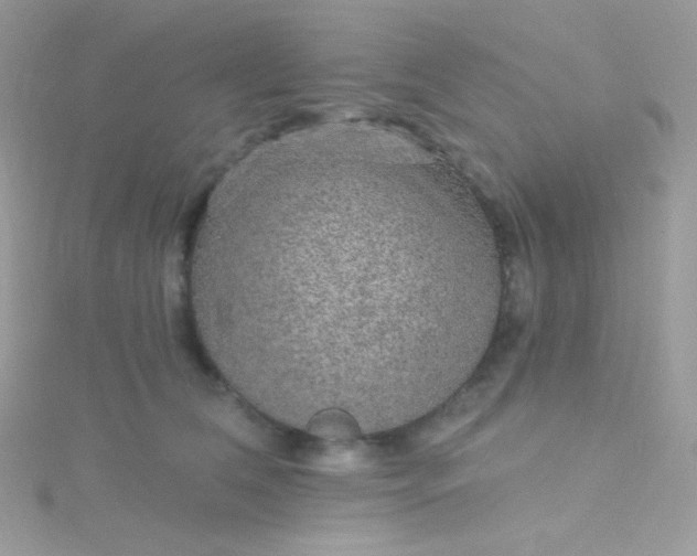 X0000115610612200911241618