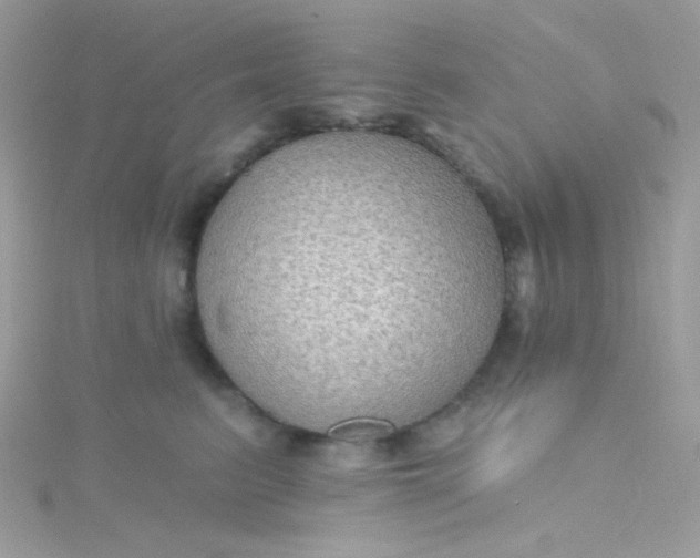 X0000115610615200911241618
