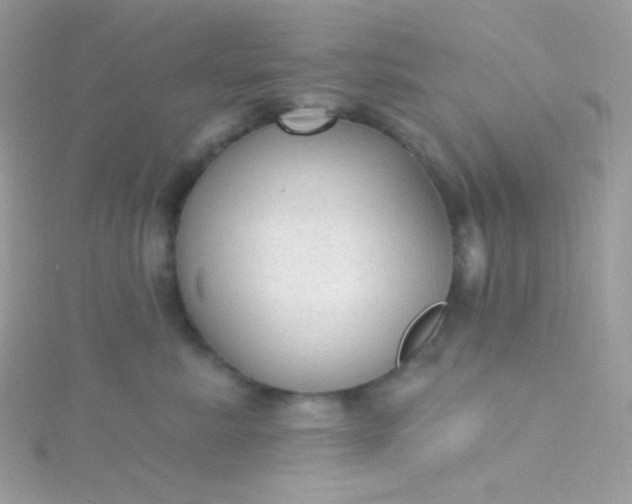 X0000115610619200911241618