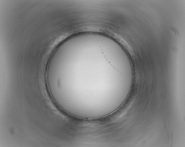 X0000115610625200911241617