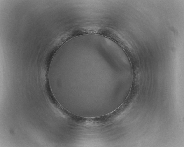 X0000115610641200911241617