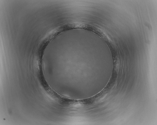 X0000115610643200911241617
