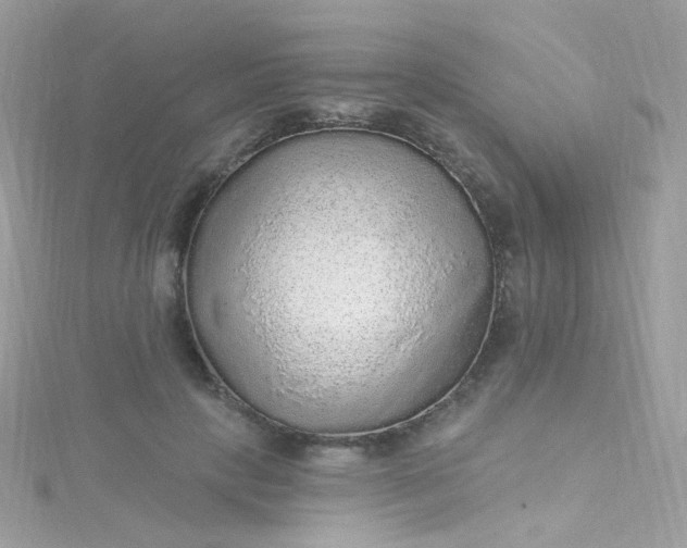 X0000115610649200911241617