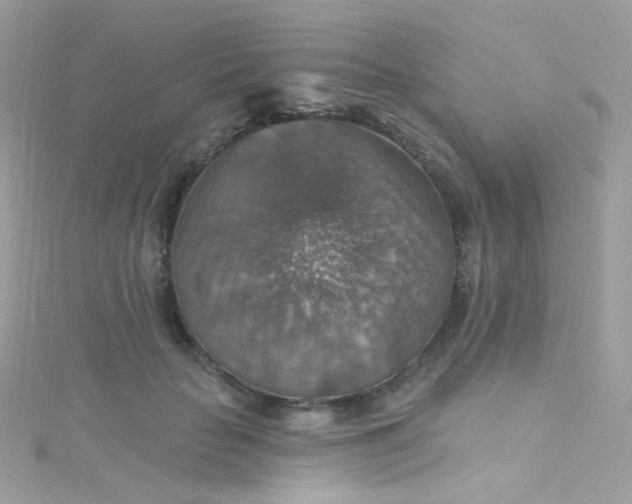 X0000115610653200911241617