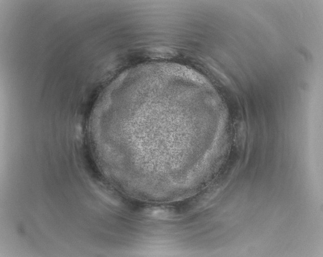 X0000115610655200911241617