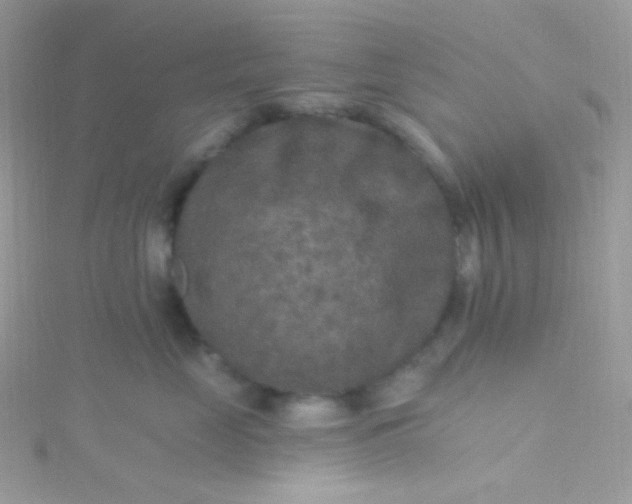 X0000115610669200911241617
