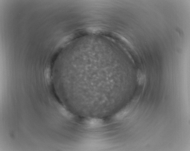 X0000115610670200911241617