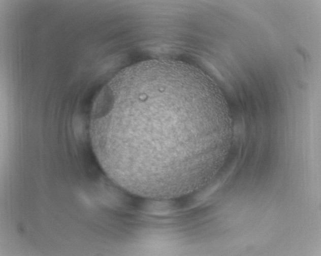 X0000115610671200911241617