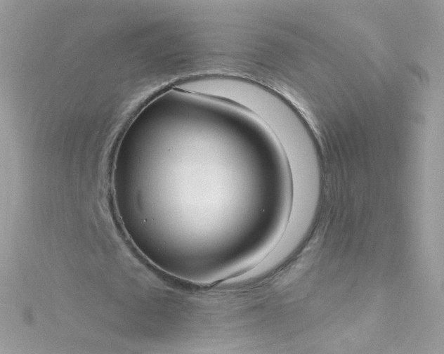 X0000115610673200911241617