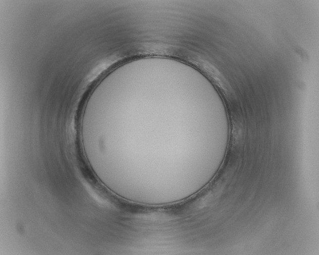 X0000115610674200911241617