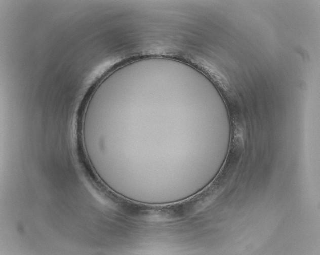 X0000115610678200911241617