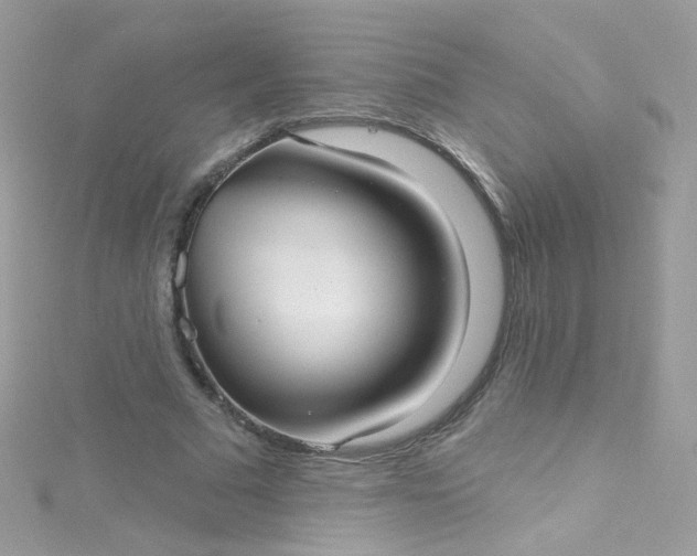 X0000115610681200911241617