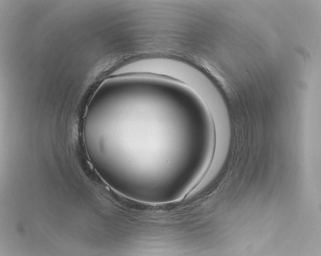 X0000115610685200911241617