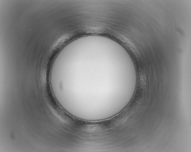 X0000115610686200911241617