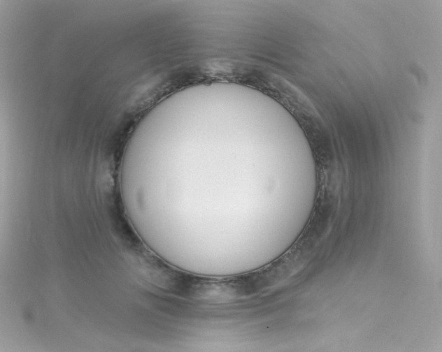 X0000115610702200911241616