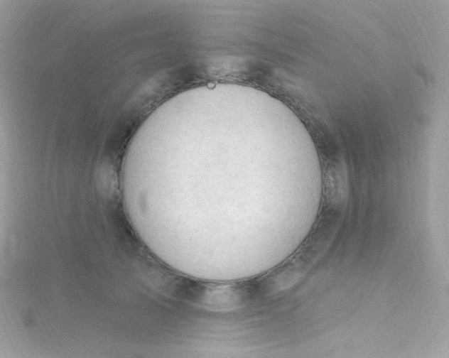 X0000115610705200911241616