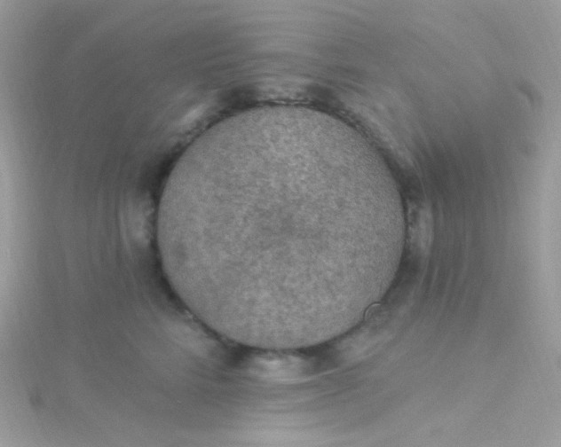 X0000115610712200911241616